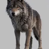 3d rendered cgi