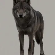 Krea 2 Turbo: dark muted desaturated tones